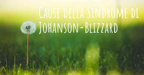 Cause della Sindrome di Johanson-Blizzard