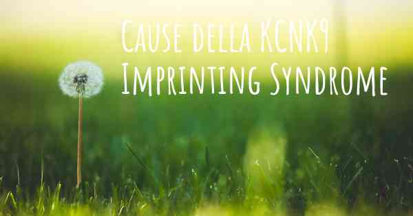 Cause della KCNK9 Imprinting Syndrome
