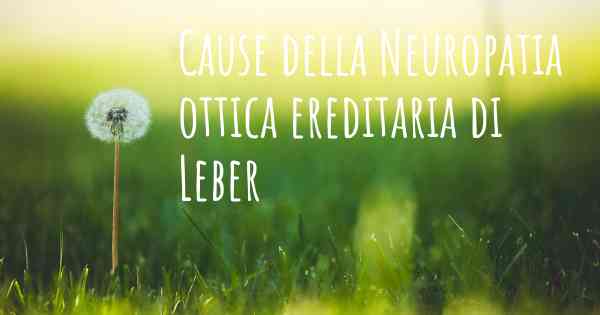 Cause della Neuropatia ottica ereditaria di Leber