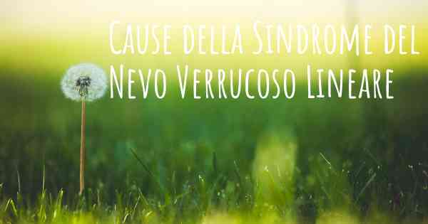 Cause della Sindrome del Nevo Verrucoso Lineare