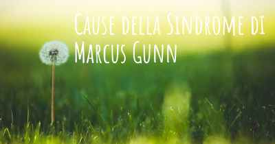 Cause della Sindrome di Marcus Gunn