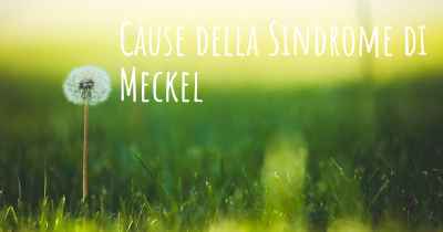 Cause della Sindrome di Meckel