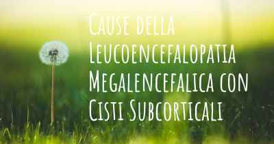 Cause della Leucoencefalopatia Megalencefalica con Cisti Subcorticali