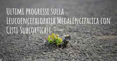 Ultimi progressi sulla Leucoencefalopatia Megalencefalica con Cisti Subcorticali
