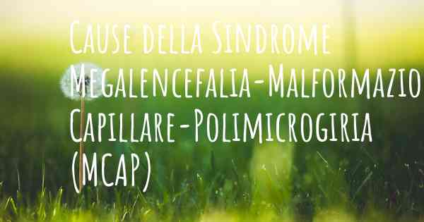 Cause della Sindrome Megalencefalia-Malformazione Capillare-Polimicrogiria (MCAP)