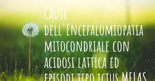 Cause dell'Encefalomiopatia mitocondriale con acidosi lattica ed episodi tipo ictus MELAS