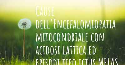 Cause dell'Encefalomiopatia mitocondriale con acidosi lattica ed episodi tipo ictus MELAS