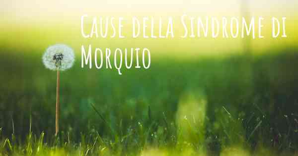 Cause della Sindrome di Morquio