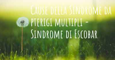 Cause della Sindrome da pterigi multipli - Sindrome di Escobar