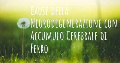 Cause della Neurodegenerazione con Accumulo Cerebrale di Ferro