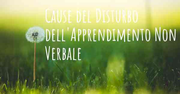 Cause del Disturbo dell'Apprendimento Non Verbale