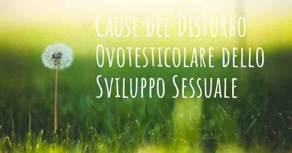 Cause del Disturbo Ovotesticolare dello Sviluppo Sessuale