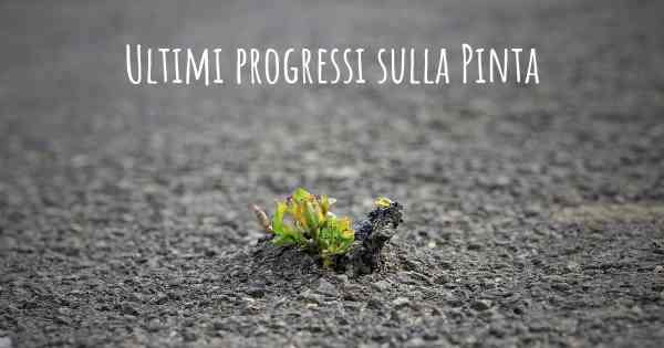 Ultimi progressi sulla Pinta