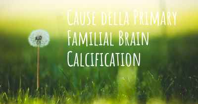 Cause della Primary Familial Brain Calcification