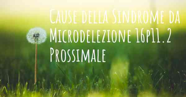 Cause della Sindrome da Microdelezione 16p11.2 Prossimale