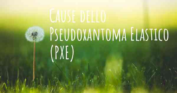 Cause dello Pseudoxantoma Elastico (PXE)