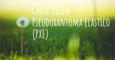 Cause dello Pseudoxantoma Elastico (PXE)