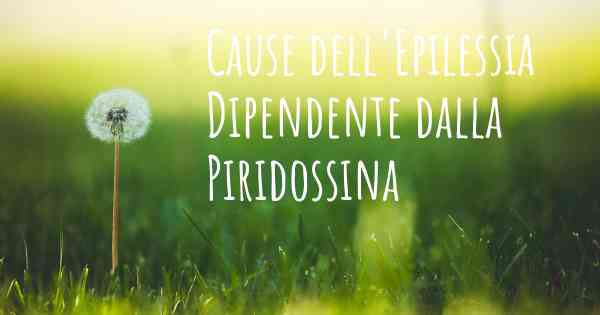 Cause dell'Epilessia Dipendente dalla Piridossina