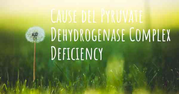 Cause del Pyruvate Dehydrogenase Complex Deficiency
