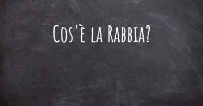 Cos'è la Rabbia?