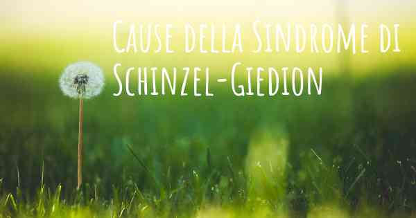 Cause della Sindrome di Schinzel-Giedion