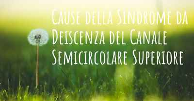 Cause della Sindrome da Deiscenza del Canale Semicircolare Superiore