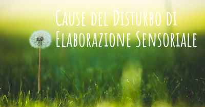 Cause del Disturbo di Elaborazione Sensoriale