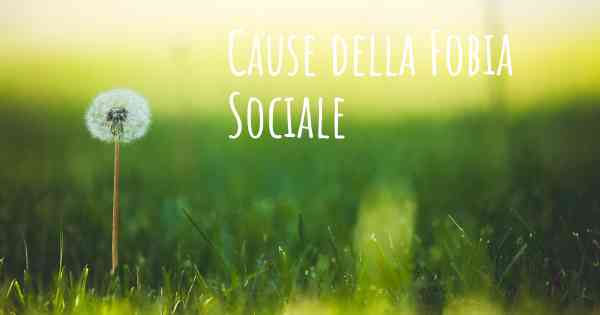 Cause della Fobia Sociale