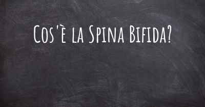Cos'è la Spina Bifida?