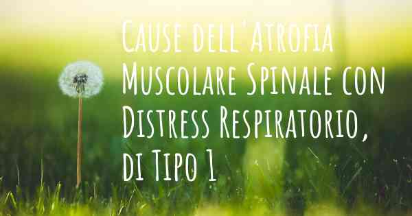 Cause dell'Atrofia Muscolare Spinale con Distress Respiratorio, di Tipo 1