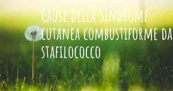 Cause della Sindrome cutanea combustiforme da stafilococco