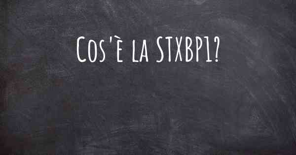 Cos'è la STXBP1?