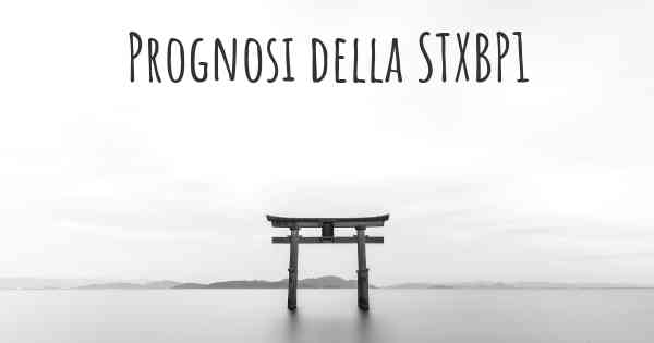 Prognosi della STXBP1