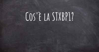 Cos'è la STXBP1?