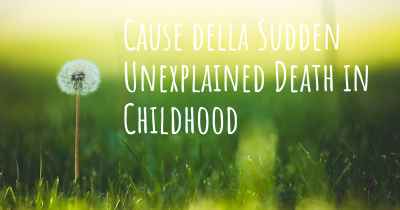 Cause della Sudden Unexplained Death in Childhood