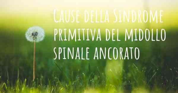 Cause della Sindrome primitiva del midollo spinale ancorato