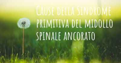 Cause della Sindrome primitiva del midollo spinale ancorato