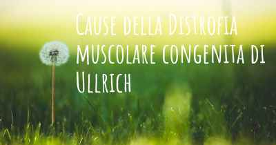 Cause della Distrofia muscolare congenita di Ullrich