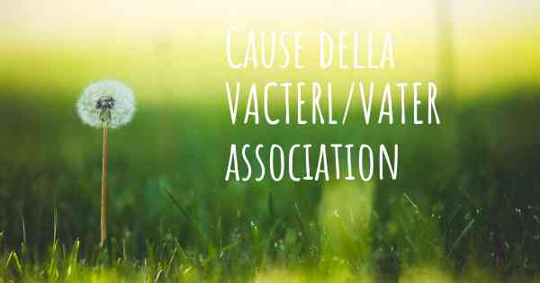 Cause della VACTERL/VATER association