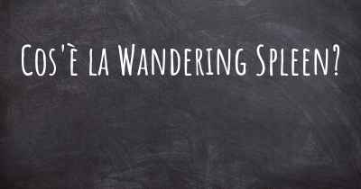 Cos'è la Wandering Spleen?
