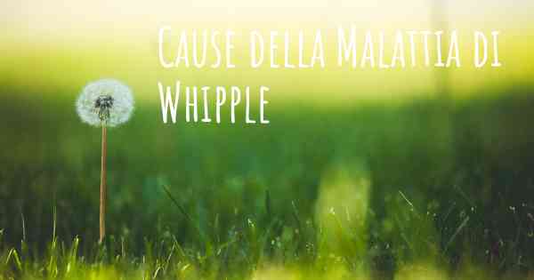 Cause della Malattia di Whipple