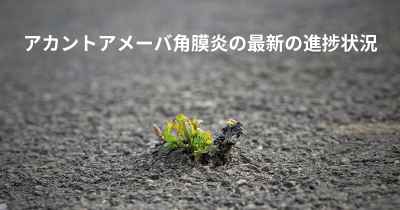 アカントアメーバ角膜炎の最新の進捗状況