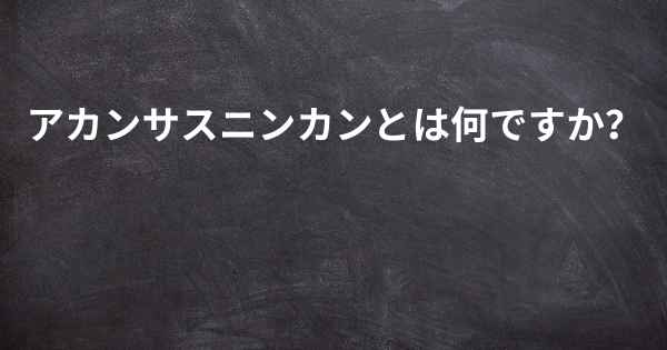 アカンサスニンカンとは何ですか？