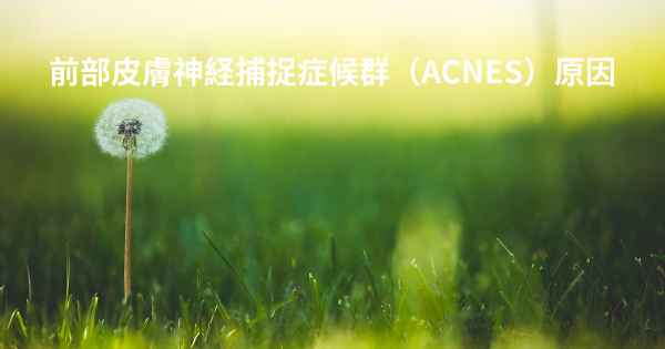 前部皮膚神経捕捉症候群（ACNES）原因