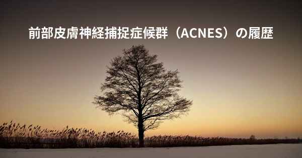 前部皮膚神経捕捉症候群（ACNES）の履歴