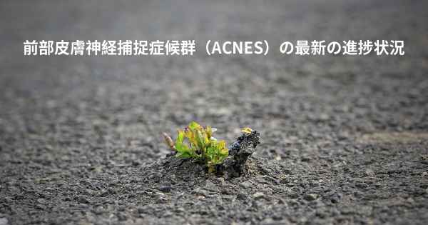 前部皮膚神経捕捉症候群（ACNES）の最新の進捗状況