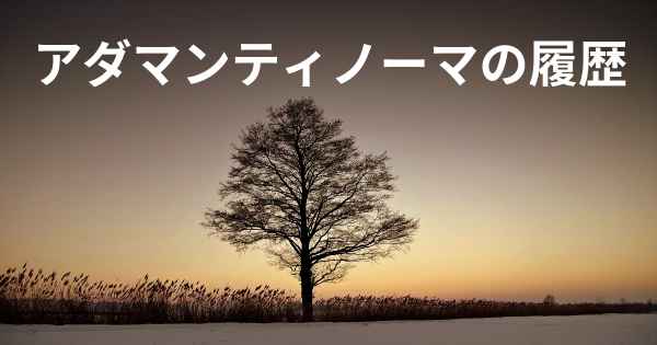 アダマンティノーマの履歴