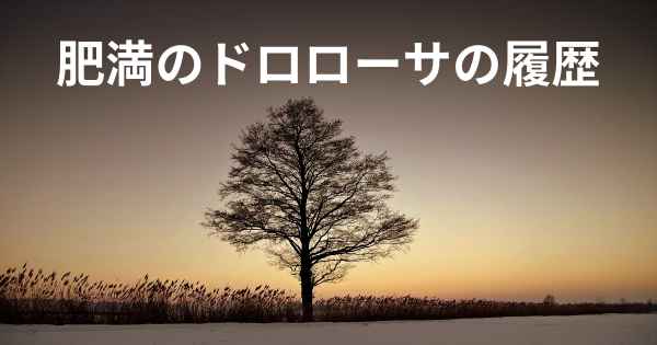 肥満のドロローサの履歴