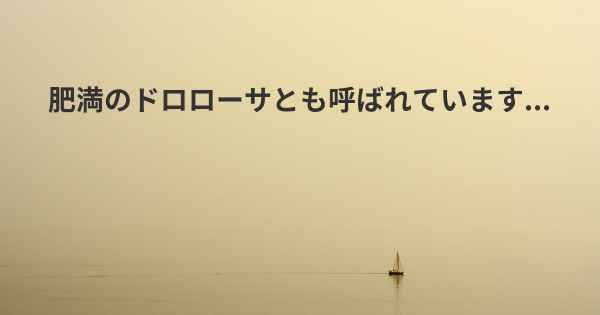 肥満のドロローサとも呼ばれています...