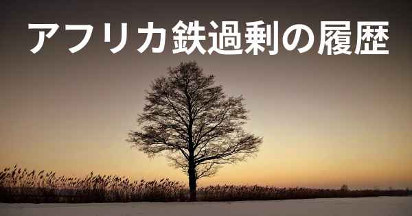 アフリカ鉄過剰の履歴